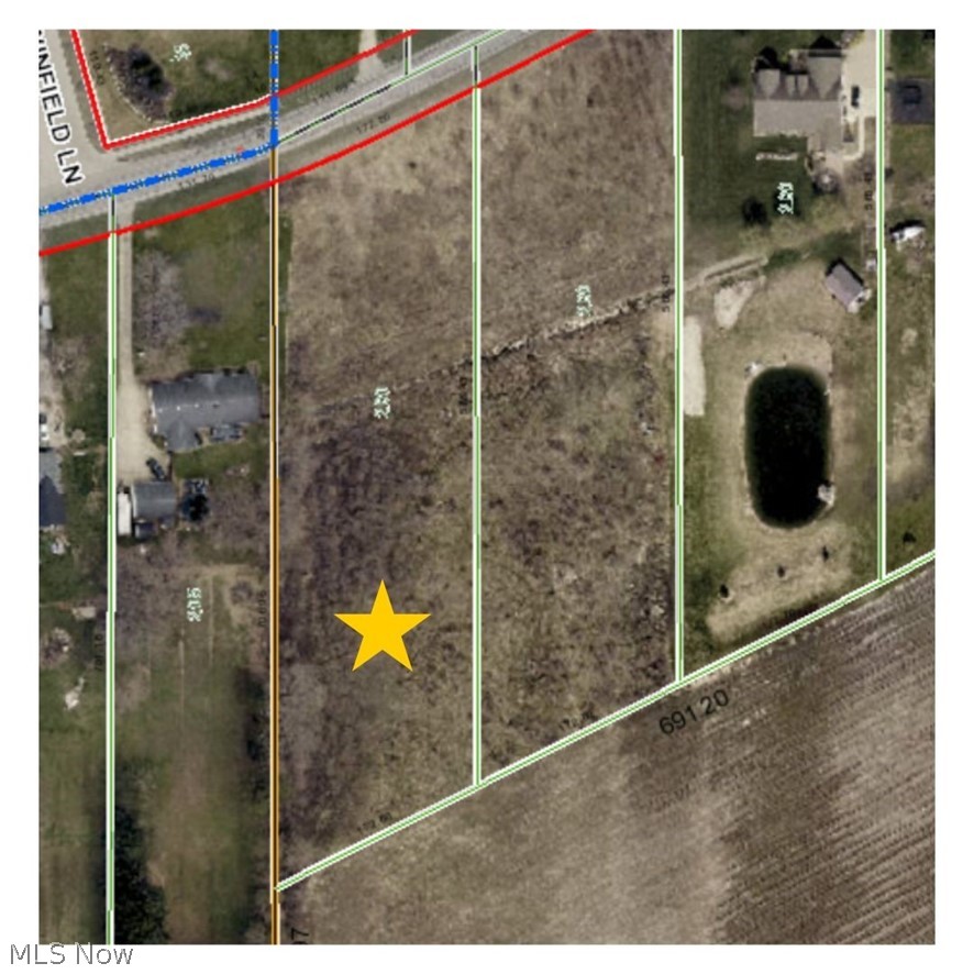 Chestnut Ridge Road Elyria, OH 44035 - Photo 8 of 8 Map from auditors site