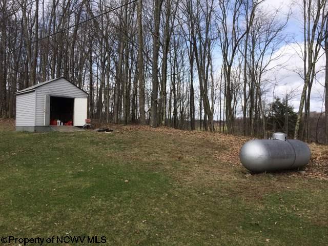 1 Rr Parsons, WV 26287 - Photo 20 of 20 Gallery Image 20