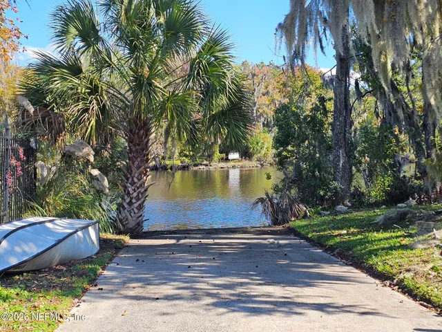 a view of a yard with plants and trees