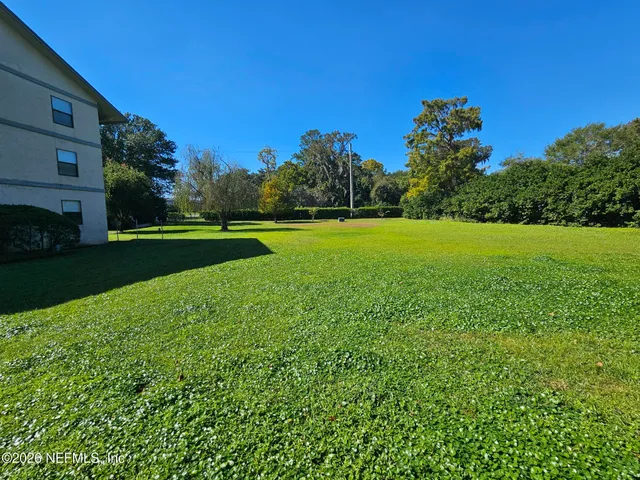 a view of field with tall trees
