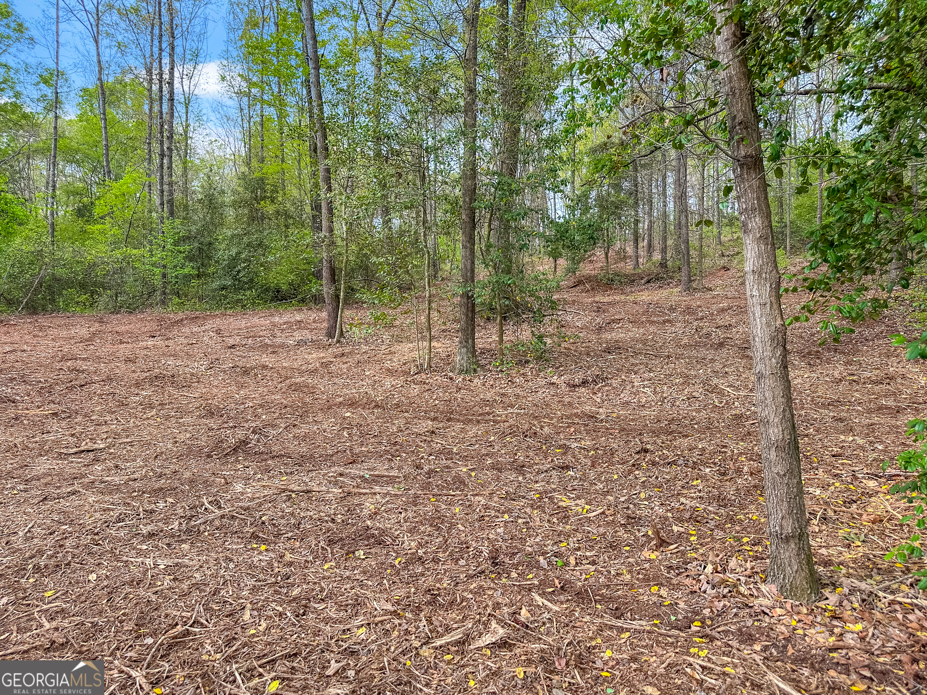 101 Broad River Road, Unit LOT 7 Eastanollee, GA 30538 - Photo 3 of 11