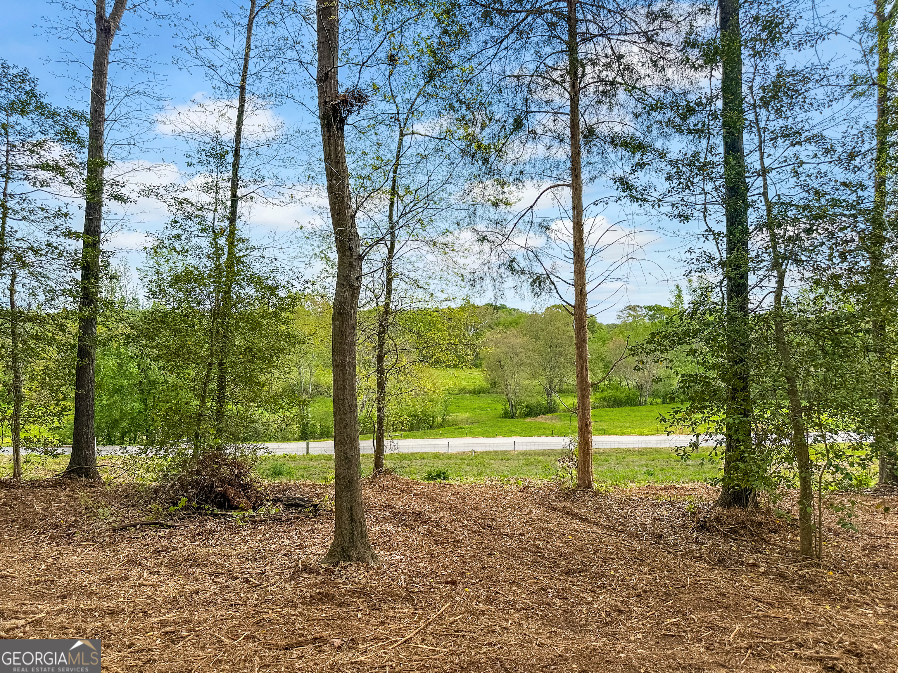 101 Broad River Road, Unit LOT 7 Eastanollee, GA 30538 - Photo 4 of 11