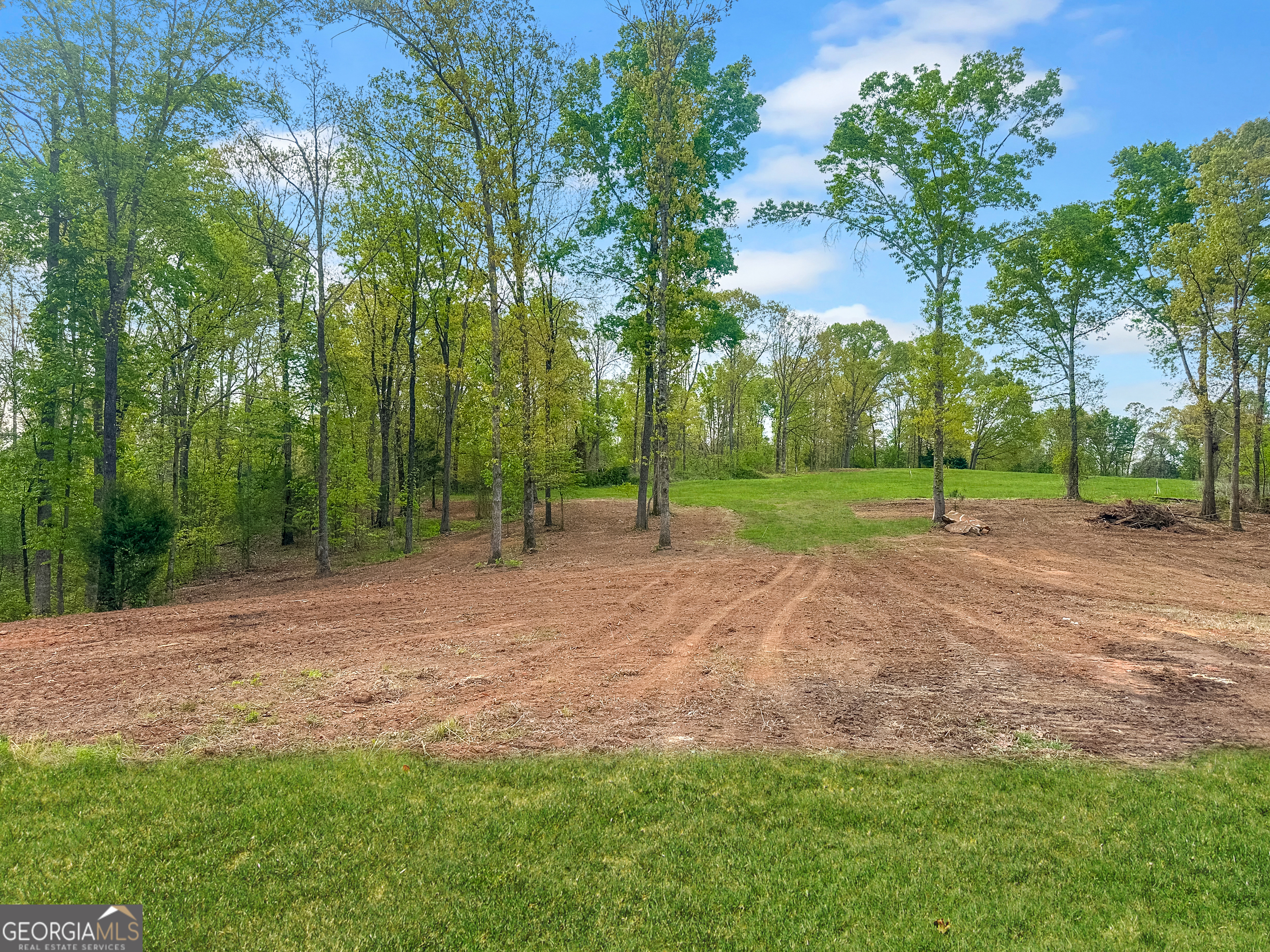 101 Broad River Road, Unit LOT 7 Eastanollee, GA 30538 - Photo 6 of 11