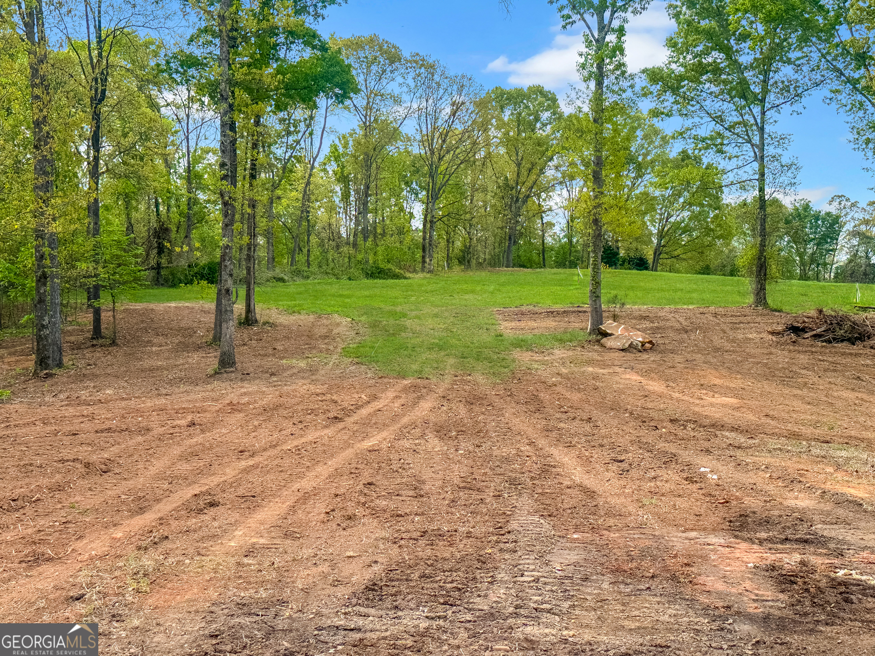 101 Broad River Road, Unit LOT 7 Eastanollee, GA 30538 - Photo 7 of 11