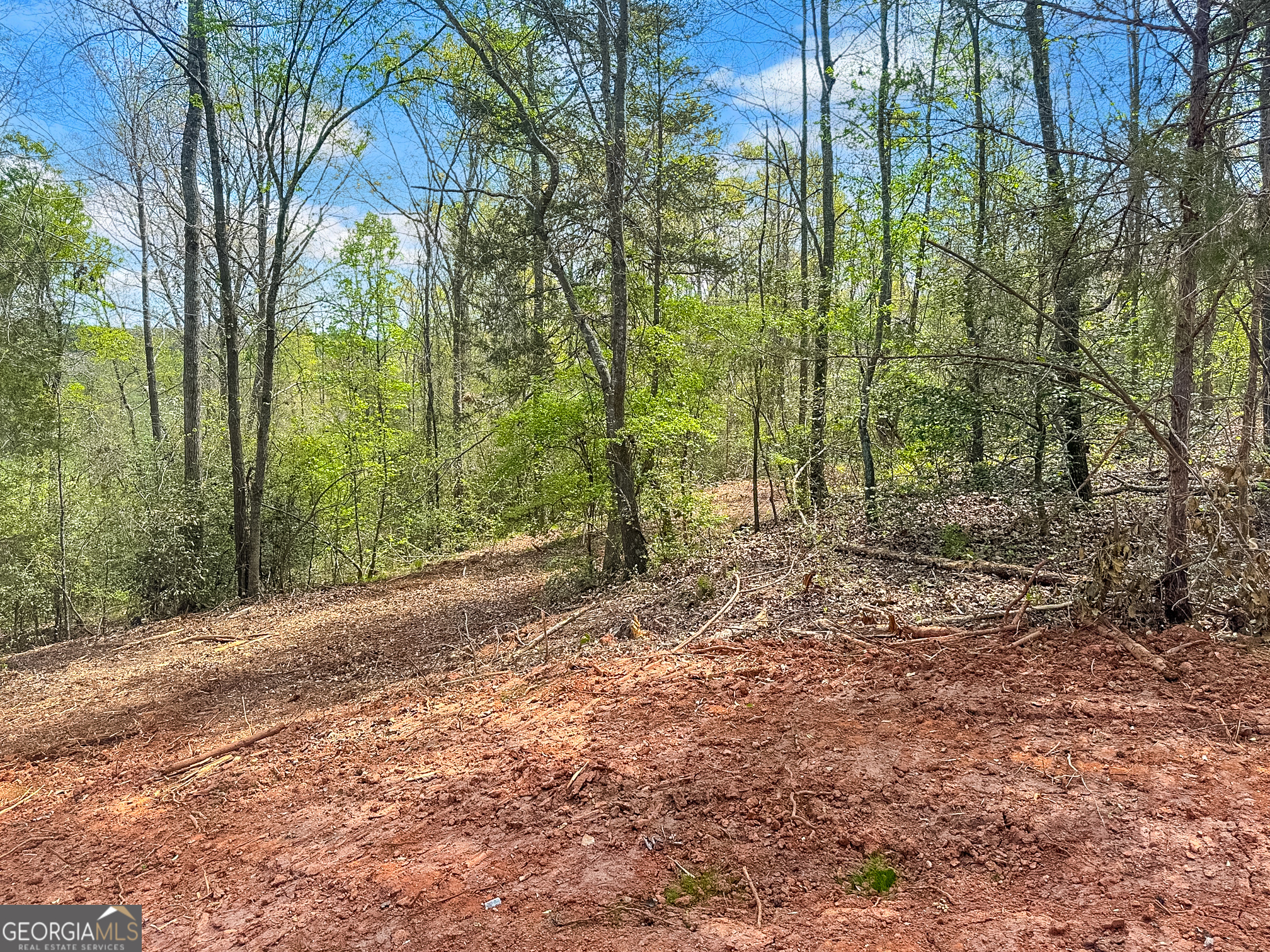 101 Broad River Road, Unit LOT 7 Eastanollee, GA 30538 - Photo 8 of 11