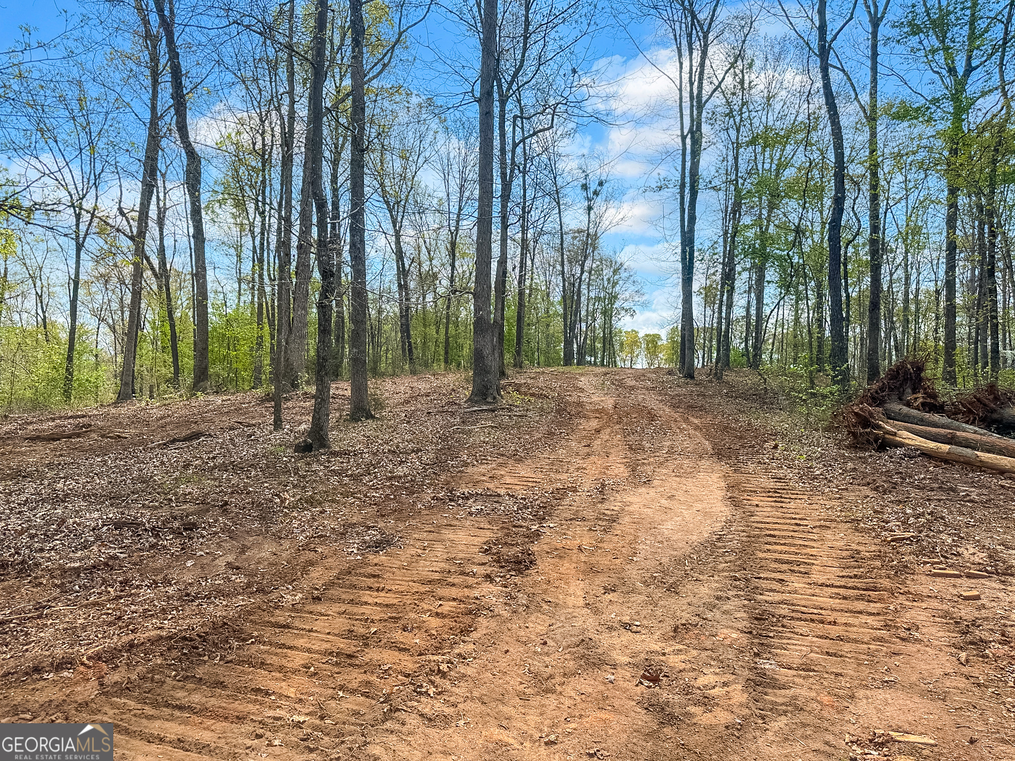 101 Broad River Road, Unit LOT 7 Eastanollee, GA 30538 - Photo 9 of 11