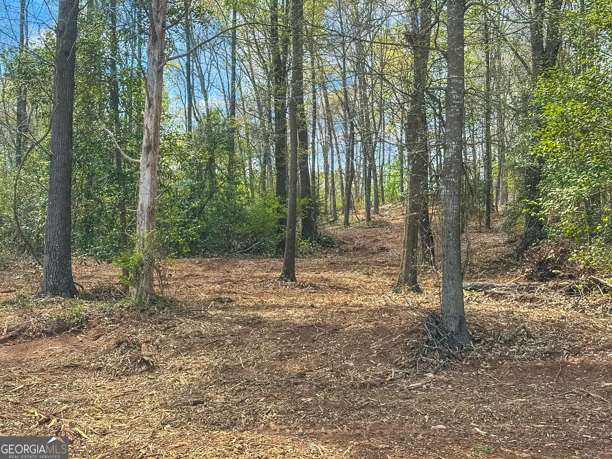 101 Broad River Road, Unit LOT 7 Eastanollee, GA 30538 - Photo 10 of 11