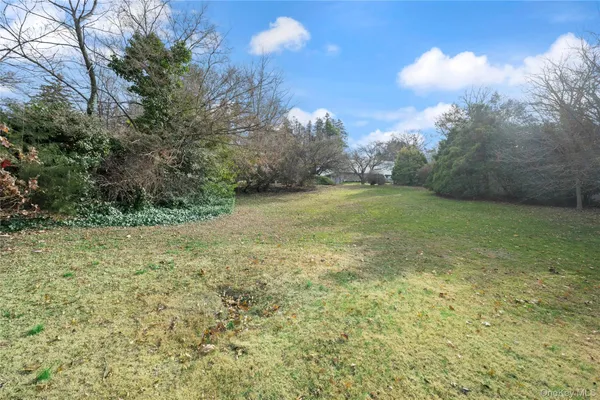 a view of a field with an trees
