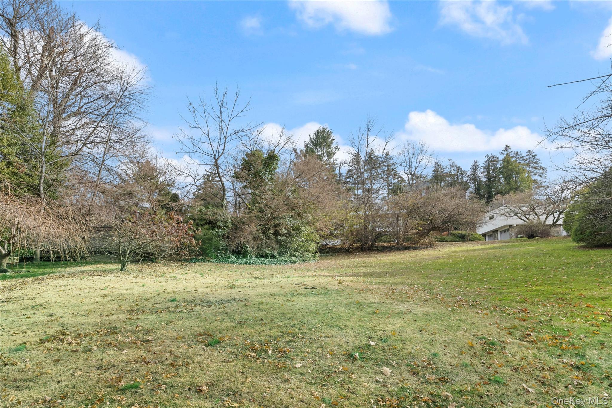Ladd Road Bronx, NY 10471 - Photo 7 of 16 a view of a field with an trees