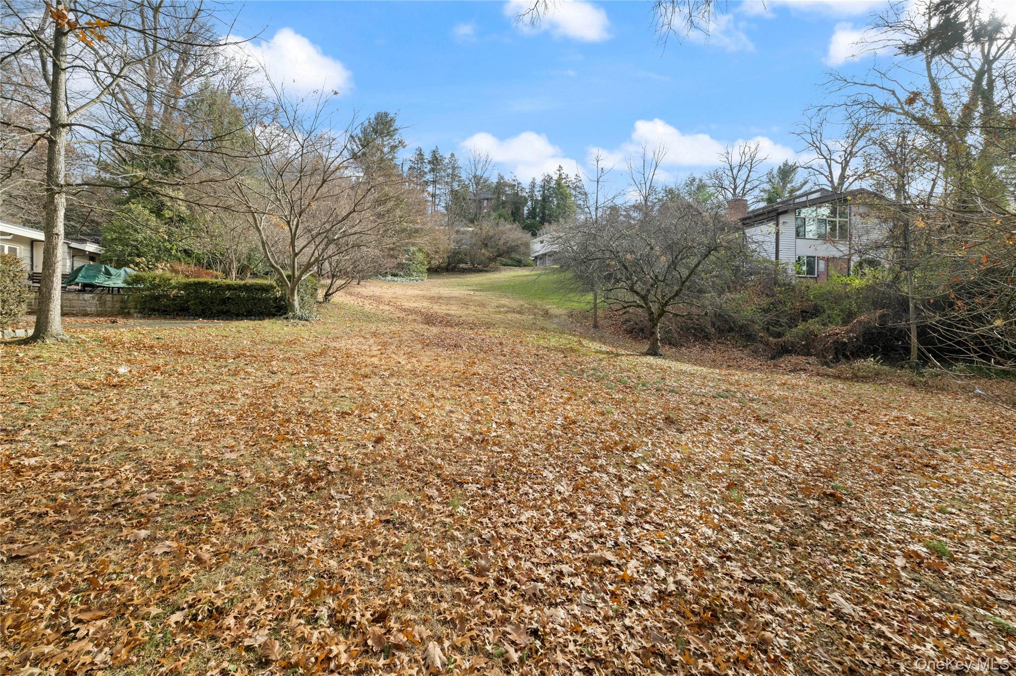 Ladd Road Bronx, NY 10471 - Photo 9 of 16 a view of a yard with trees