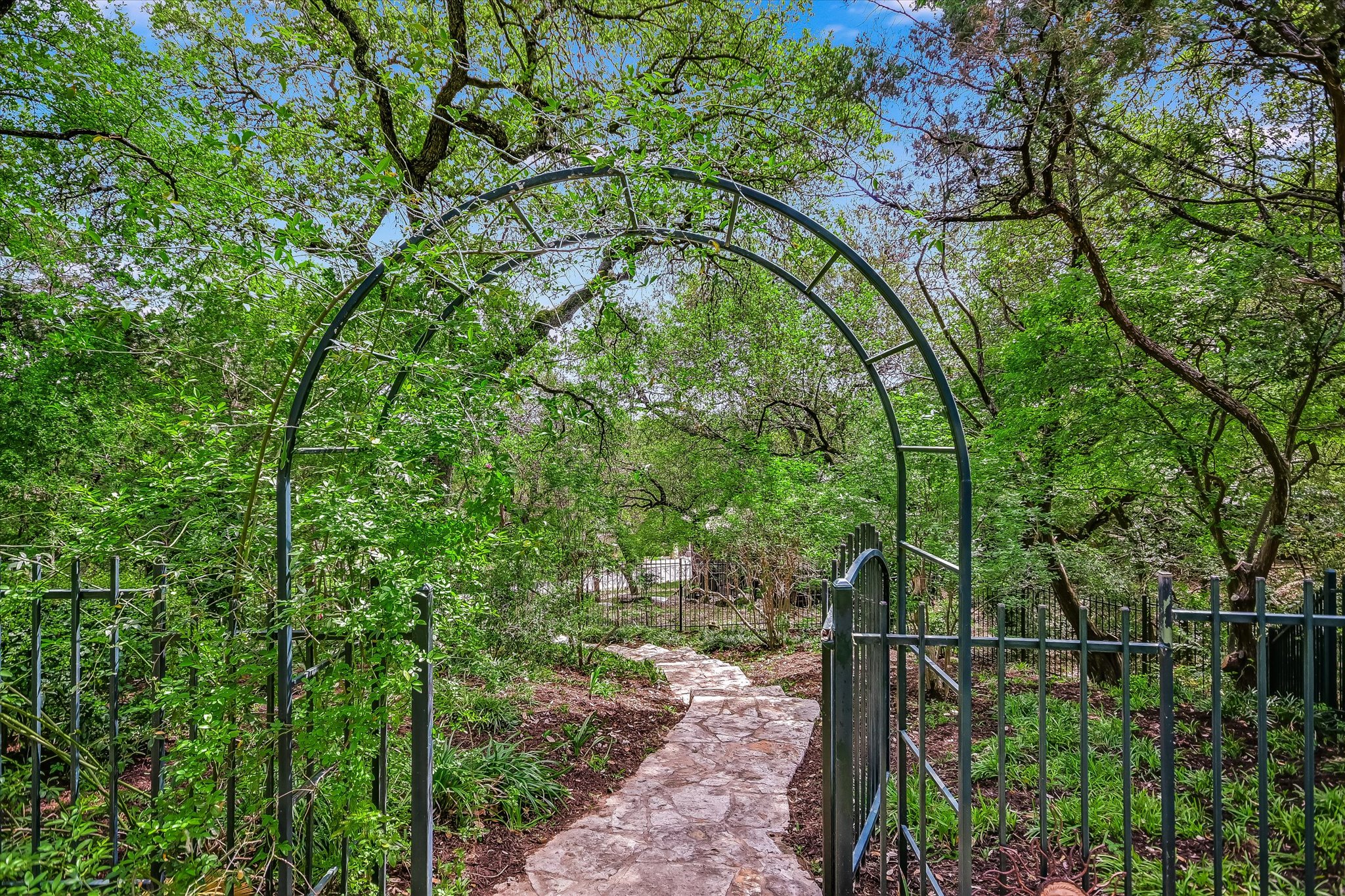 3901 Prentice Lane Austin, TX 78746 - Photo 23 of 40 The backyard offers a peaceful retreat surrounded by mature trees and lush greenery.
