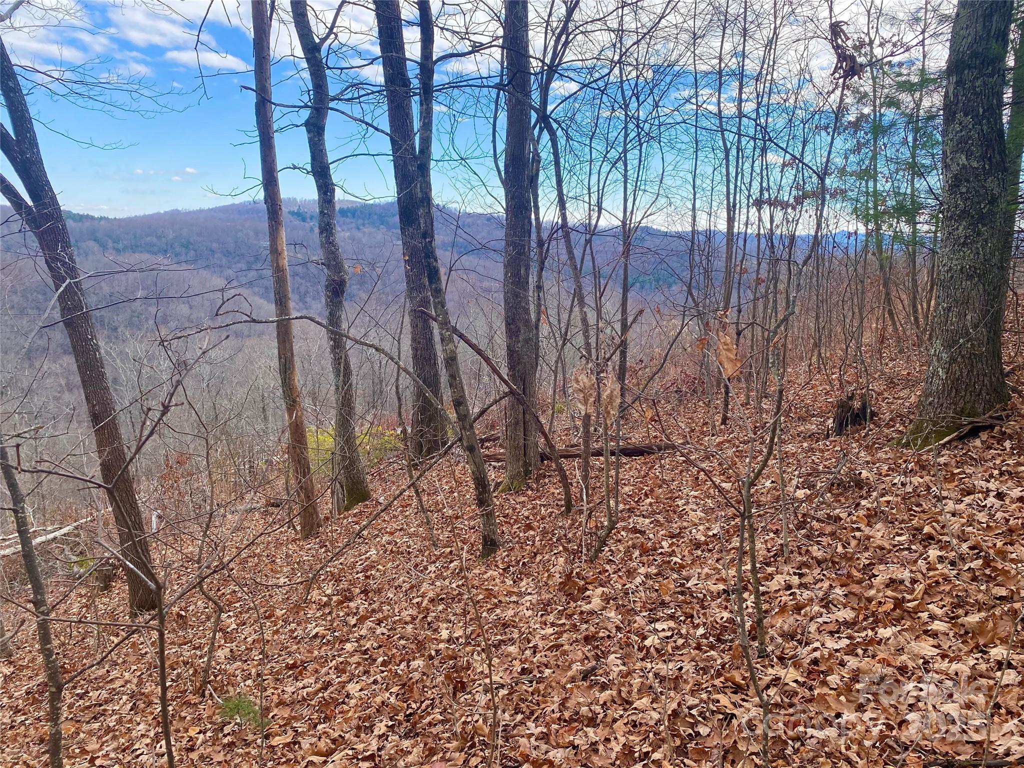Lot 37 Skyline Road, Unit 37 Little Switzerland, NC 28749 - Photo 1 of 12 a backyard of a house with lots of green space