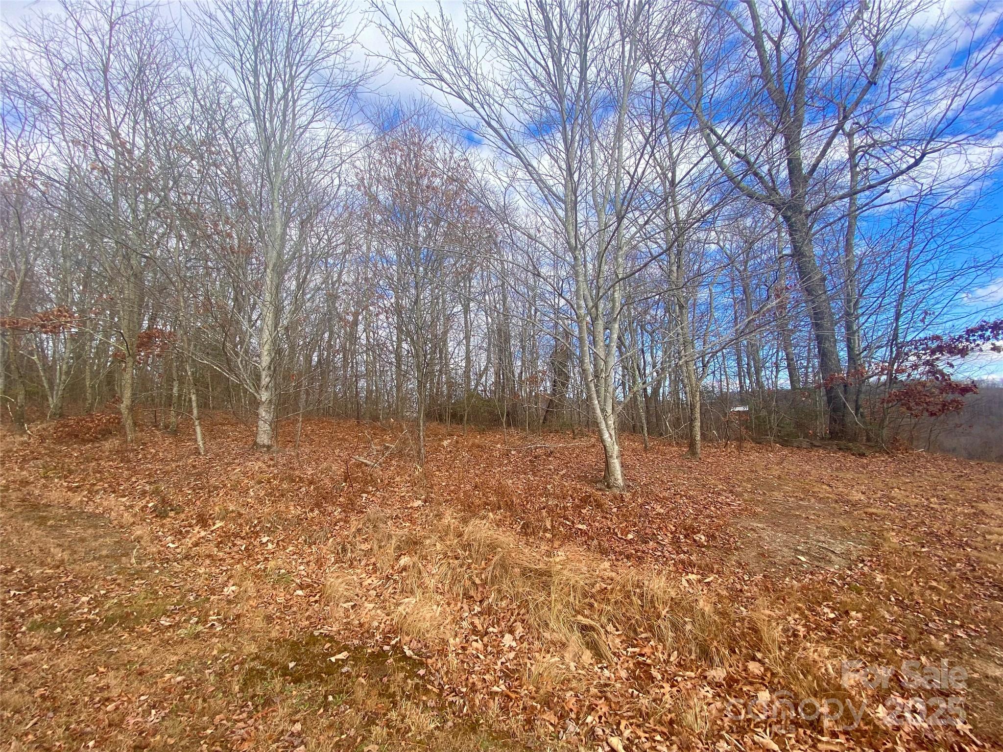 Lot 37 Skyline Road, Unit 37 Little Switzerland, NC 28749 - Photo 2 of 12 a backyard of a house with lots of green space