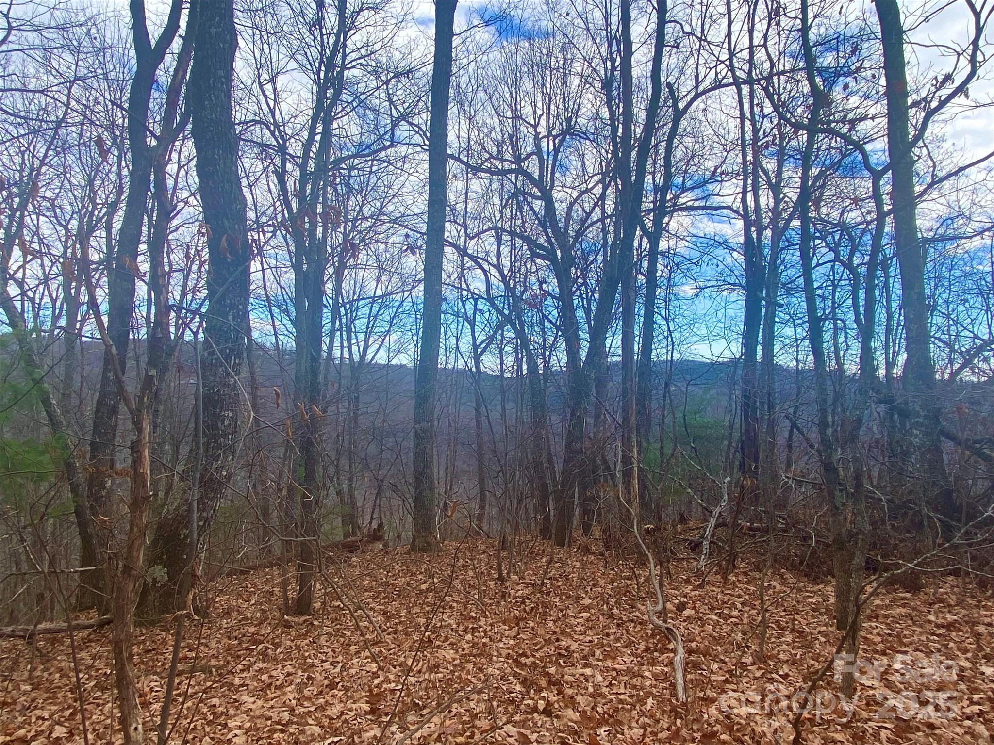 Lot 37 Skyline Road, Unit 37 Little Switzerland, NC 28749 - Photo 3 of 12 a backyard of a house with lots of green space