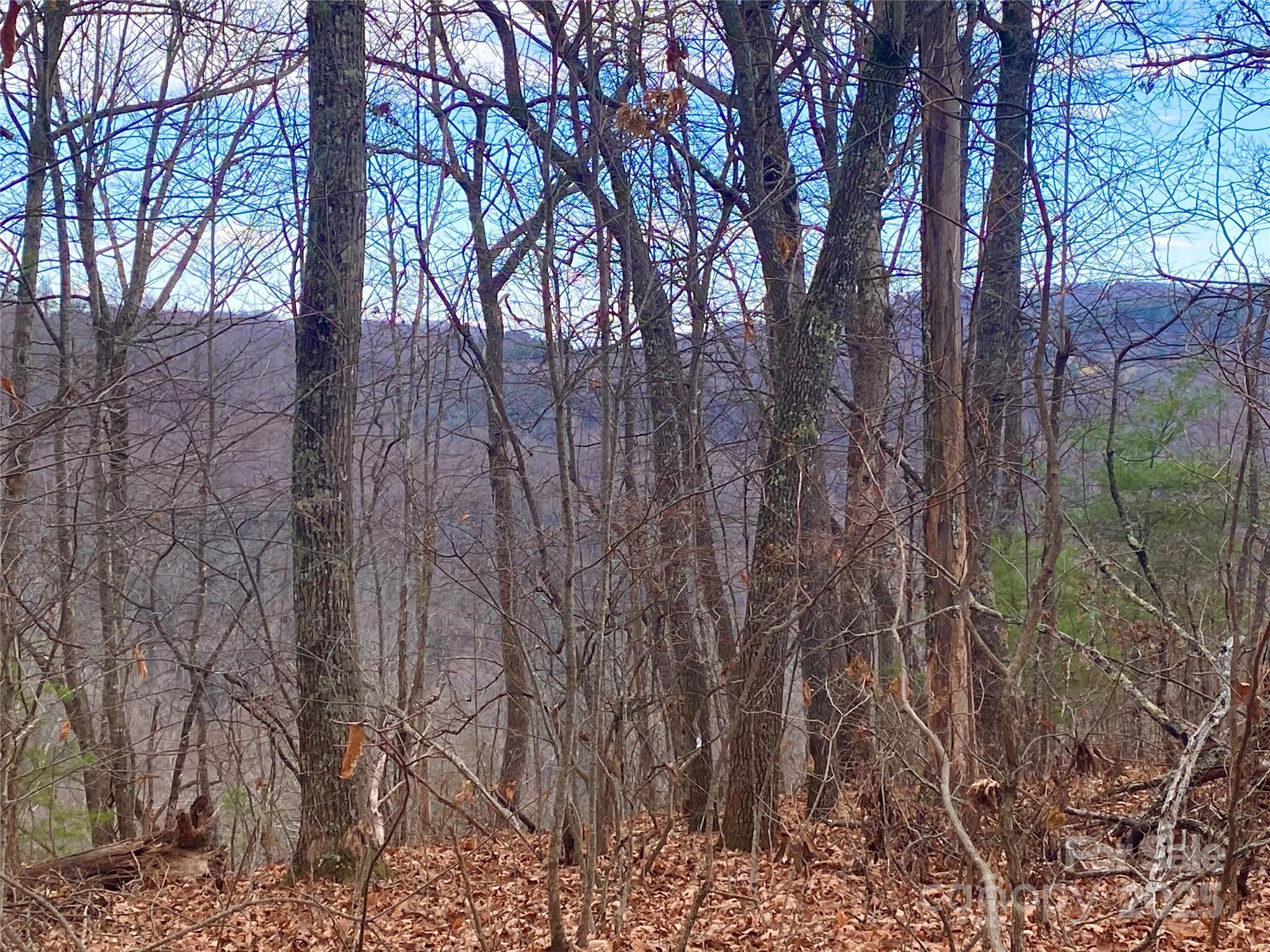 Lot 37 Skyline Road, Unit 37 Little Switzerland, NC 28749 - Photo 4 of 12 a view of forest
