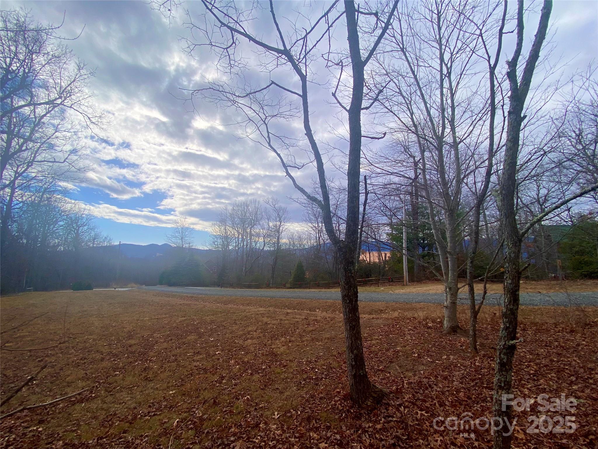 Lot 37 Skyline Road, Unit 37 Little Switzerland, NC 28749 - Photo 5 of 12 a backyard of a house with lots of green space