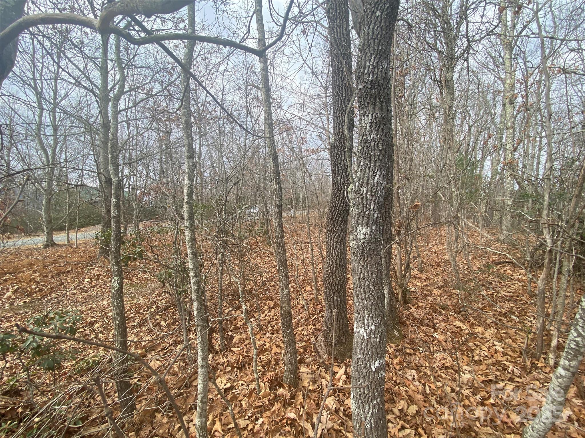 Lot 37 Skyline Road, Unit 37 Little Switzerland, NC 28749 - Photo 7 of 12
