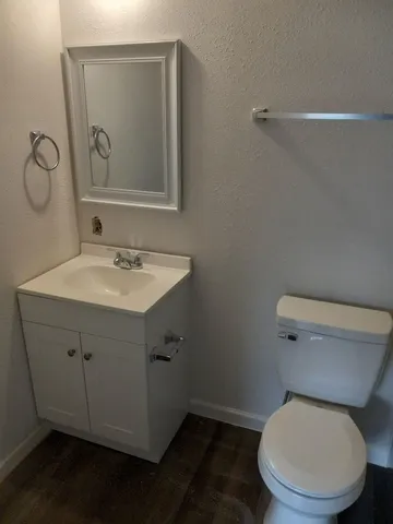 a bathroom with a toilet sink vanity and mirror