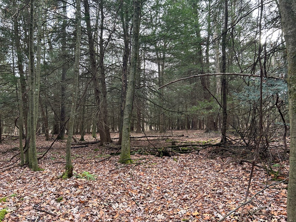 0 Miola Road Clarion, PA 16214 - Photo 4 of 18 Gallery Image 4
