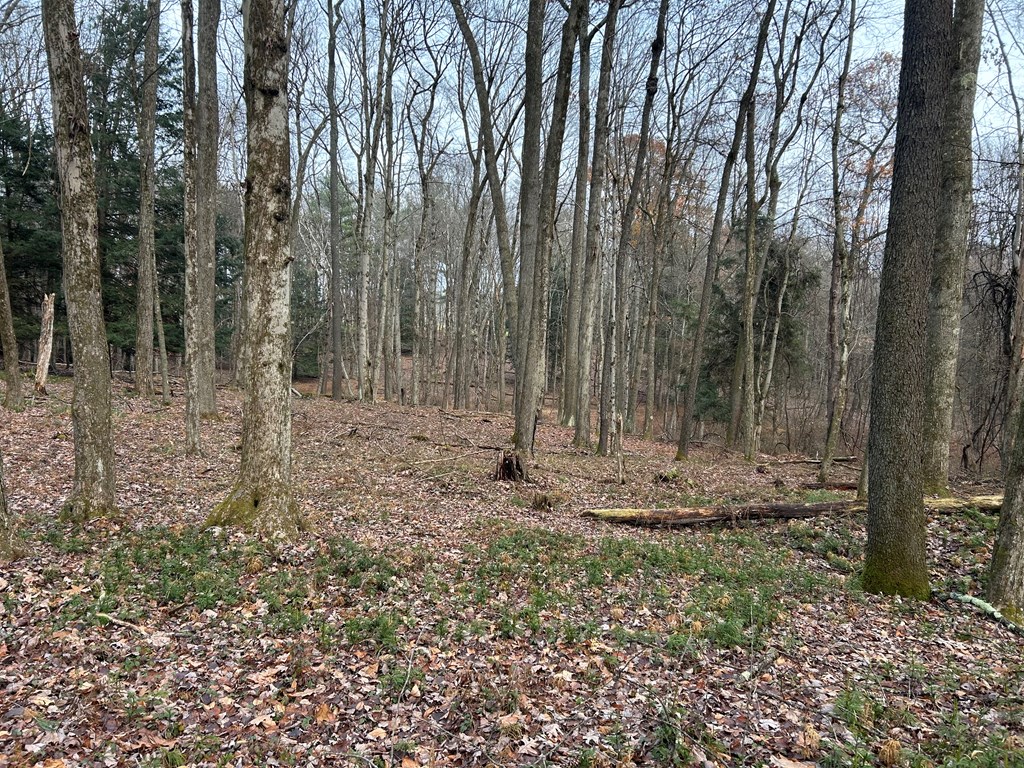 0 Miola Road Clarion, PA 16214 - Photo 7 of 18 Gallery Image 7