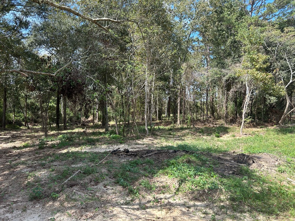 20.33-ac Sewell Road Dothan, AL 36301 - Photo 21 of 36