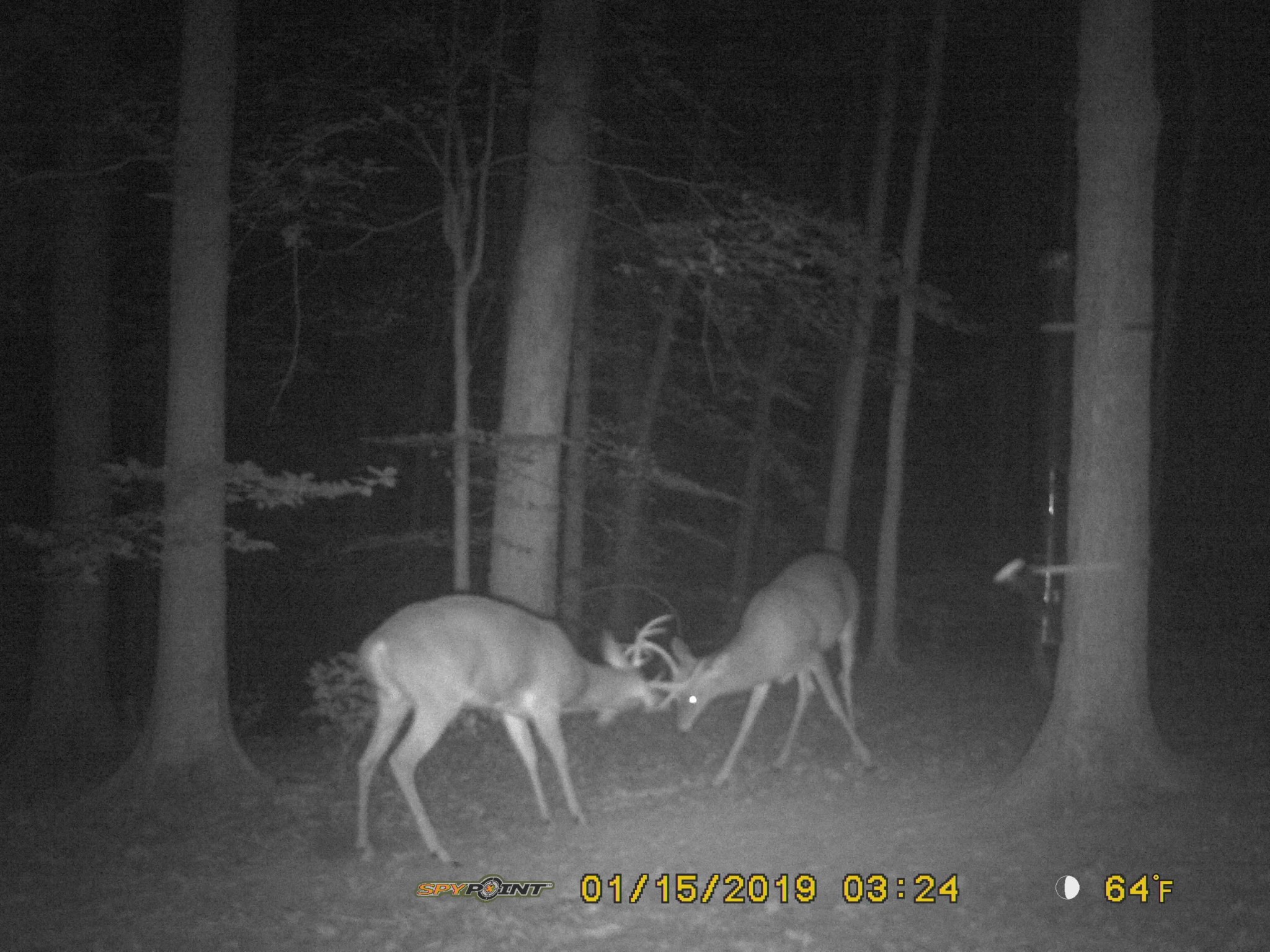 160 Turkey Ridge Road Big Rock, TN 37023 - Photo 85 of 88 Gallery Image 85