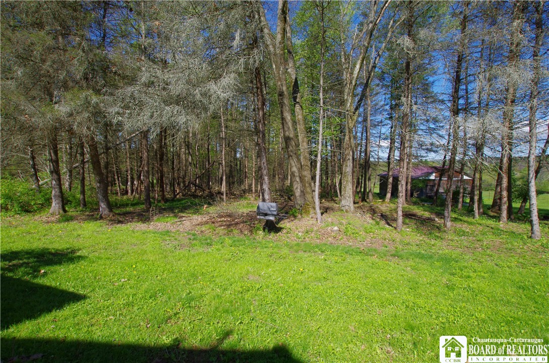 549 Creek Road Jamestown, NY 14701 - Photo 5 of 25