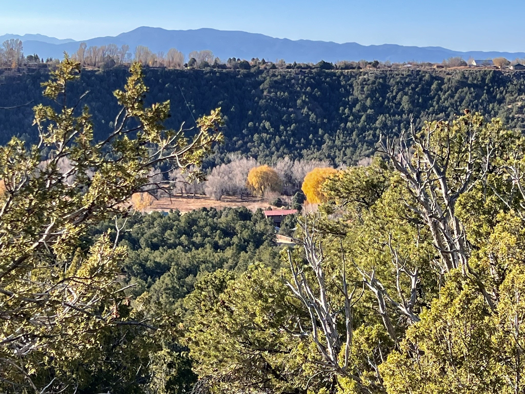 0 Gallina Canyon Road Valdez, NM 87580 - Photo 5 of 24