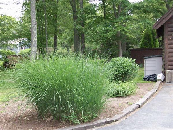 4 Woodlawn Road Freetown, MA 02702 - Photo 22 of 30 a backyard of a house with lots of green space