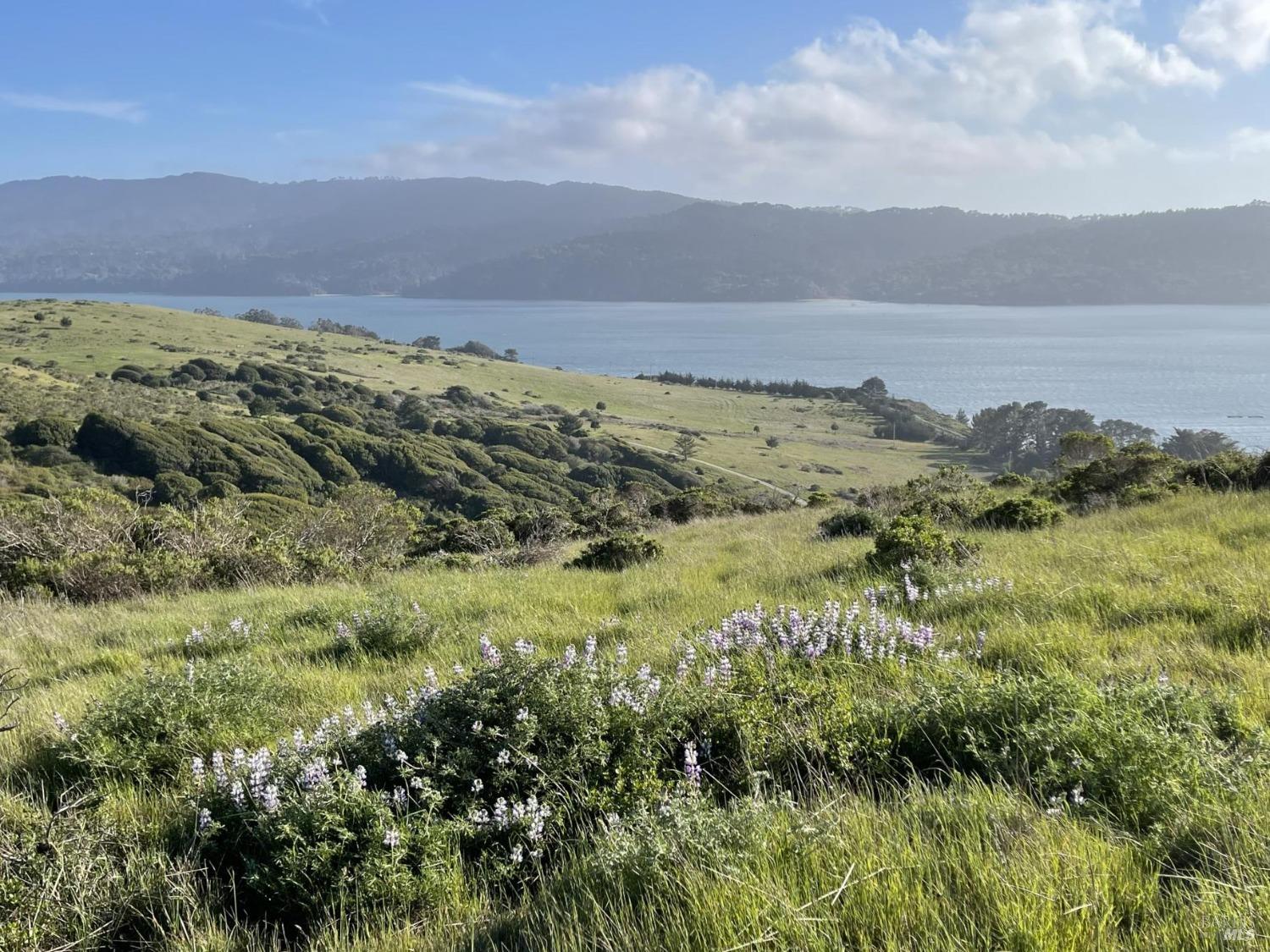 17990 State Route 1 Marshall, CA 94940 - Photo 1 of 1 a view of an ocean