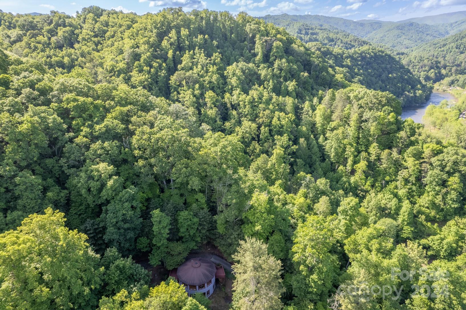 46 Bennett Branch Road Green Mountain, NC 28740 - Photo 42 of 48 Gallery Image 42