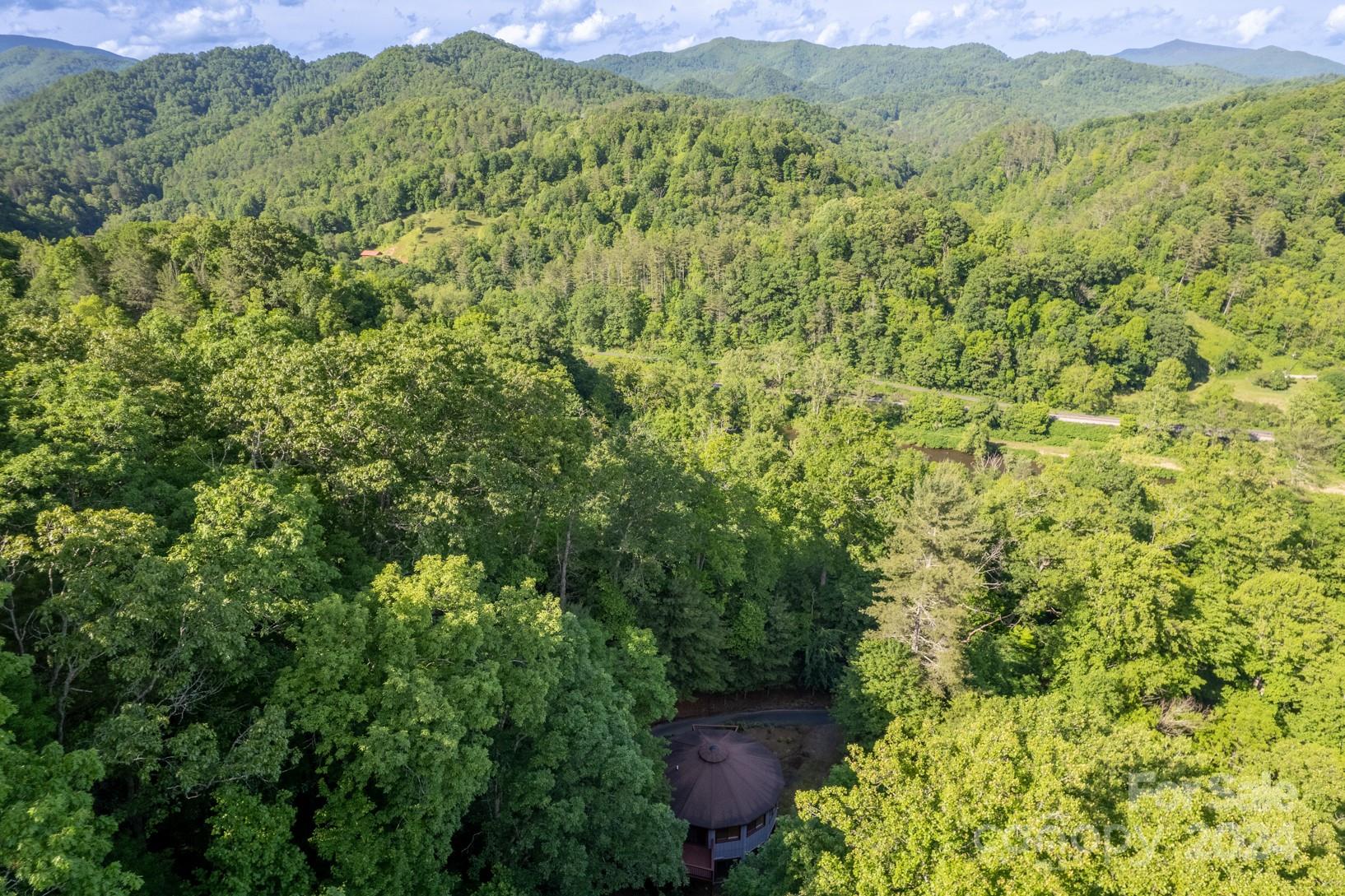 46 Bennett Branch Road Green Mountain, NC 28740 - Photo 43 of 48 Gallery Image 43
