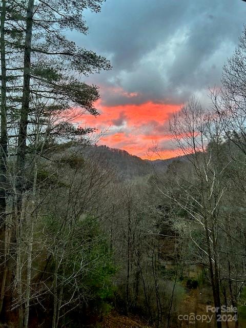 46 Bennett Branch Road Green Mountain, NC 28740 - Photo 44 of 48 Gallery Image 44