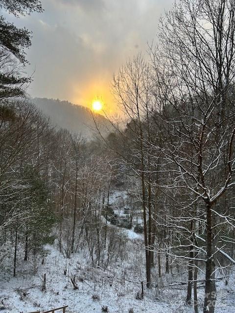 46 Bennett Branch Road Green Mountain, NC 28740 - Photo 45 of 48 Gallery Image 45