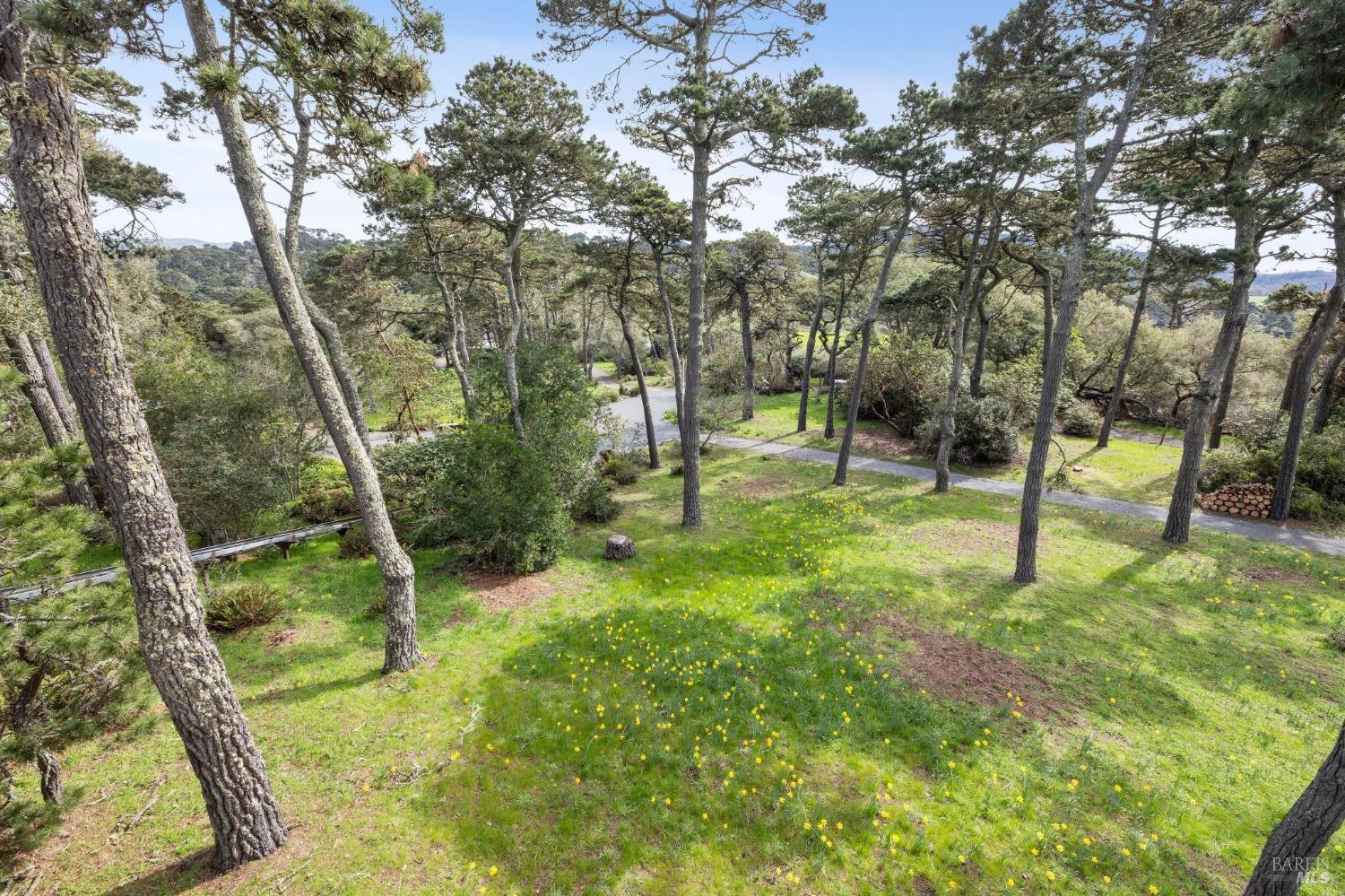 1208 Pierce Point Road Inverness, CA 94937 - Photo 37 of 89