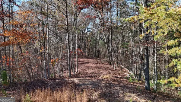 $59,900 | Lot 197 Spring Winds Drive, Cleveland, GA 30528