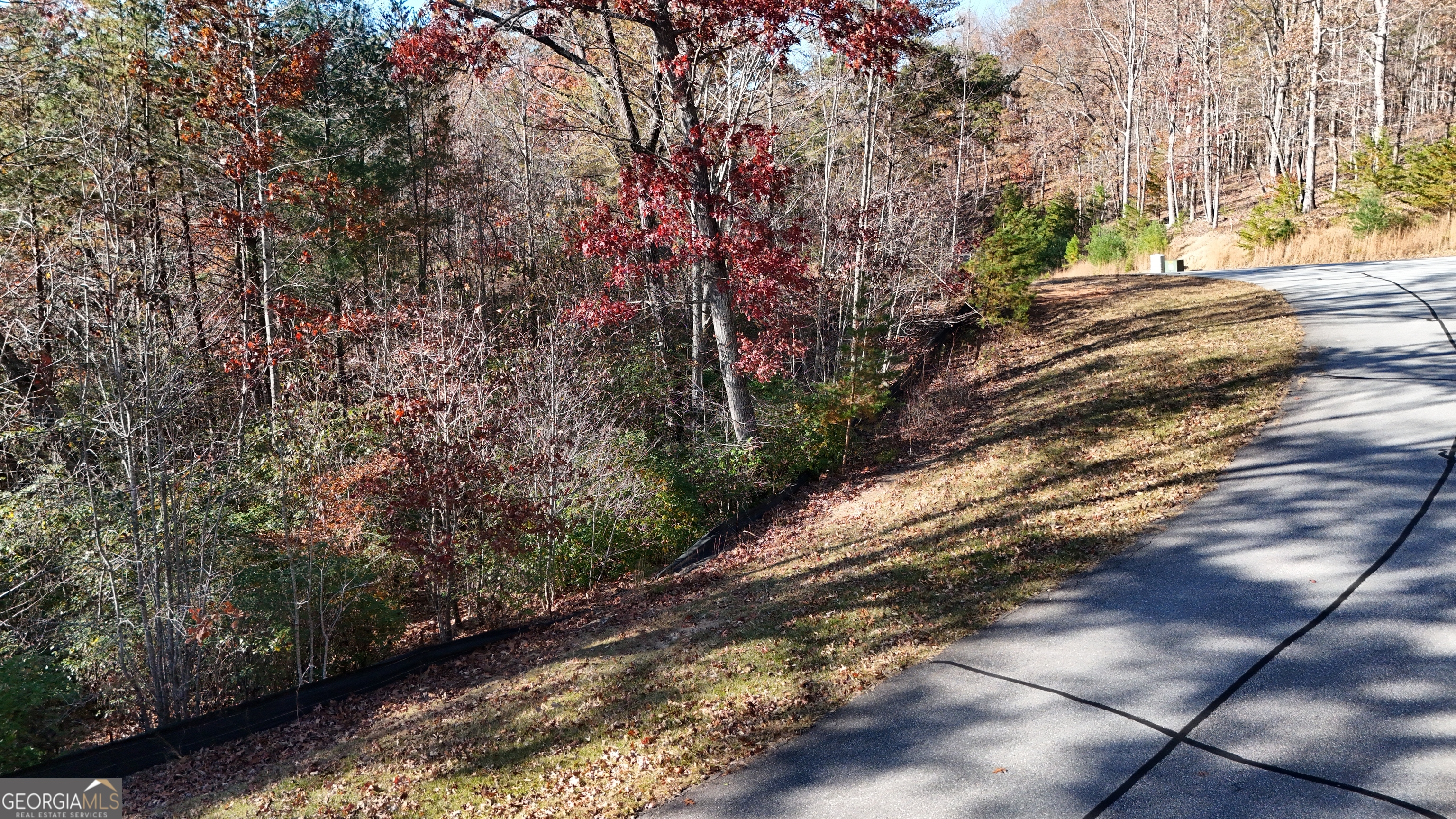 Lot 197 Spring Winds Drive Cleveland, GA 30528 - Photo 2 of 7 a view of a yard with plants and trees