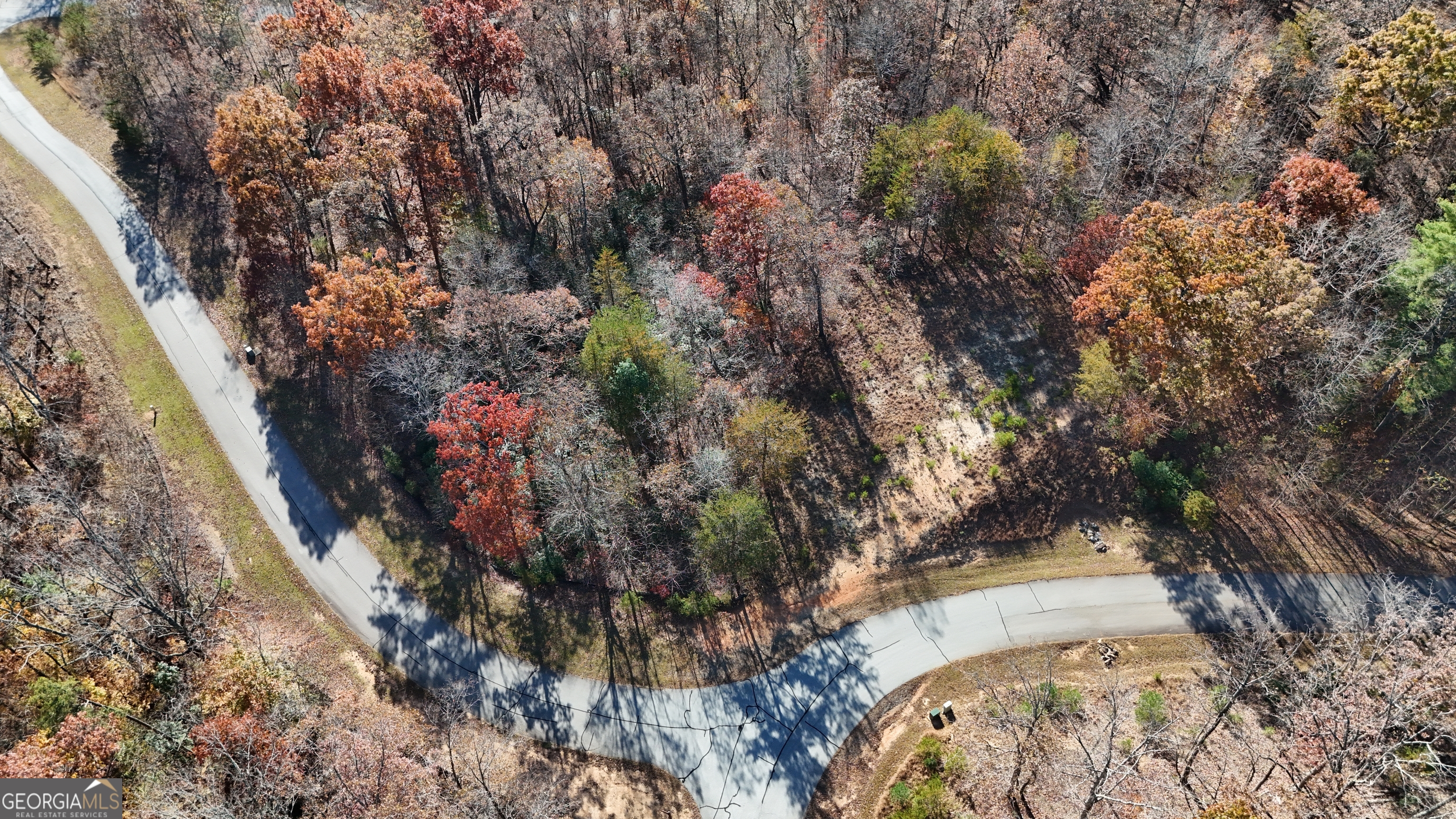 Lot 197 Spring Winds Drive Cleveland, GA 30528 - Photo 5 of 7 a view of a house with a tree