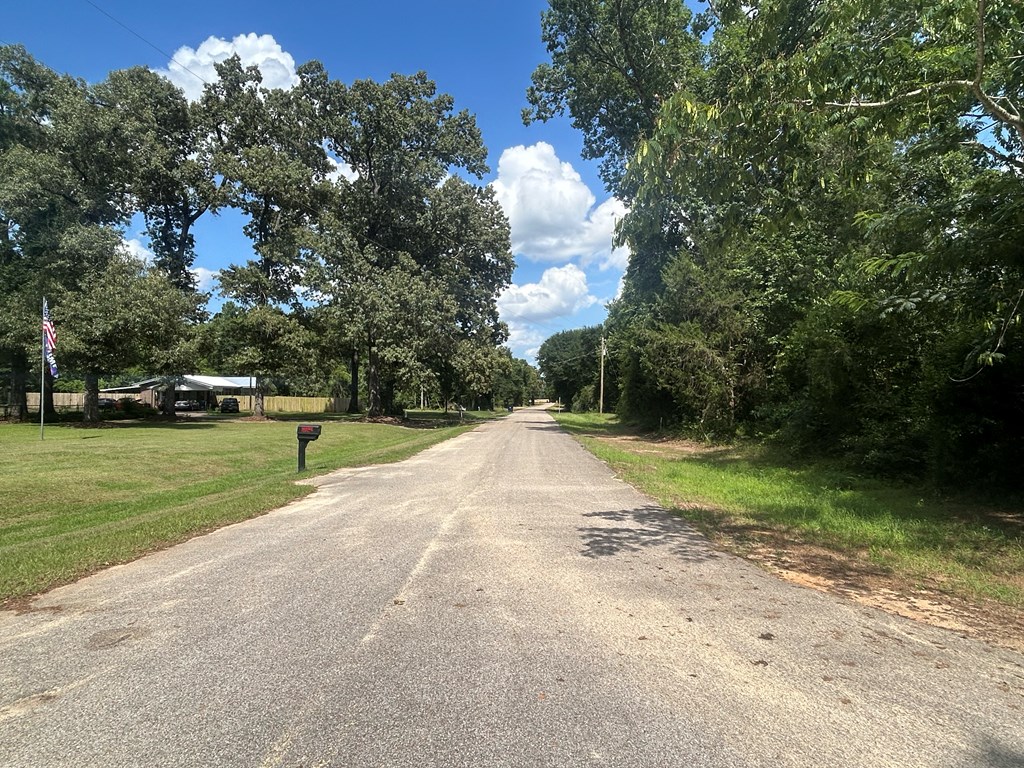 19.16-ac 19.16-ac Ramer Loop Cottonwood, AL 36320 - Photo 31 of 34