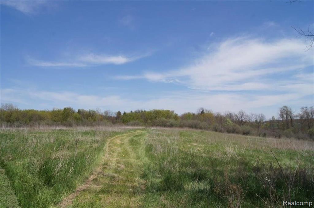Vacant Land Vacant Land Merwin Road Lapeer, MI 48446 - Photo 2 of 3