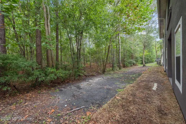a view of a forest with trees in the background