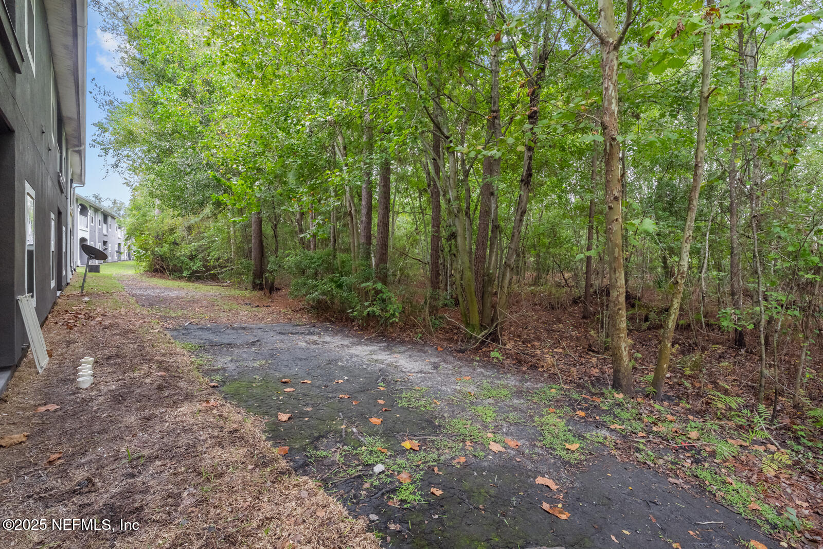 7920 Merrill Road West, Unit 1604 Jacksonville, FL 32277 - Photo 27 of 30 a view of a forest with trees in the background
