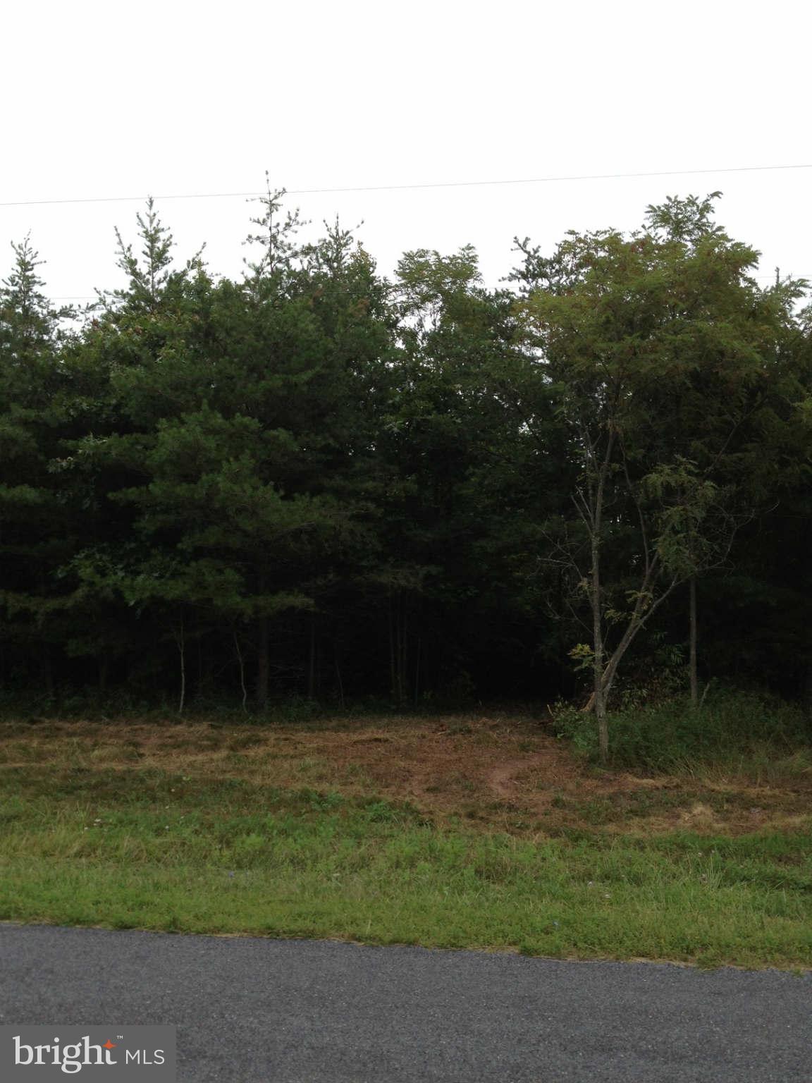 4 Redland Road Cross Junction, VA 22625 - Photo 1 of 1 Exterior (General)