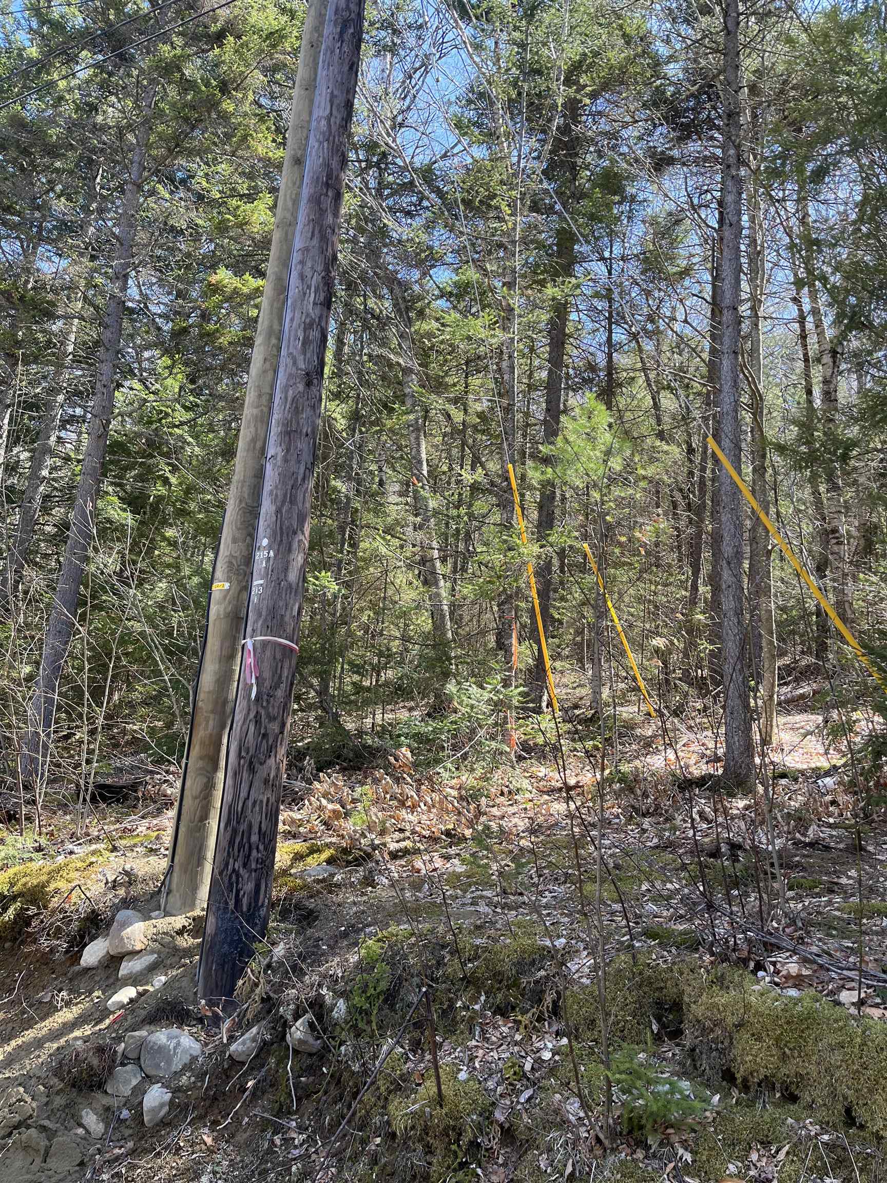 5 Boulder Court Campton, NH 03223 - Photo 4 of 12