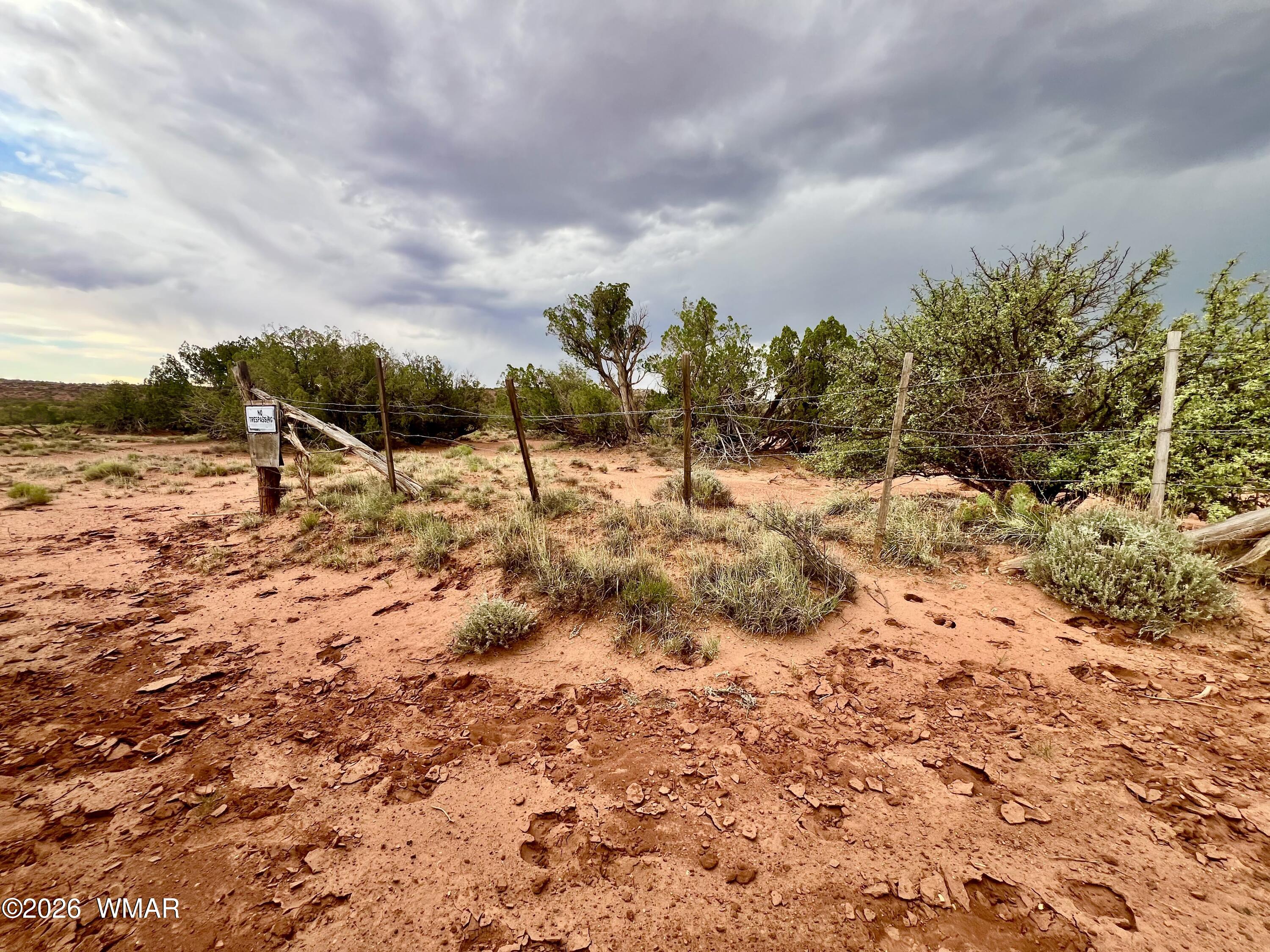 3727 Jay Road Snowflake, AZ 85937 - Photo 12 of 17 a view of a dry yard with wooden fence