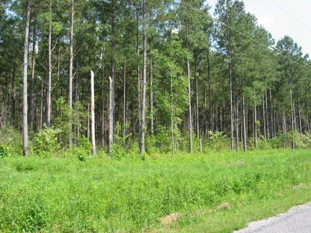 11 Lees Chapel Road Cedartown, GA 30125 - Photo 1 of 1 Gallery Image 1
