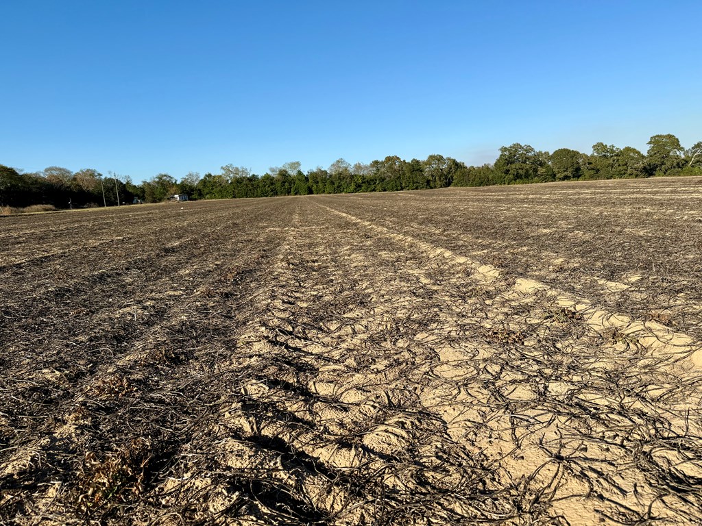 7.57-acres Burdeshaw Road Headland, AL 36345 - Photo 5 of 11