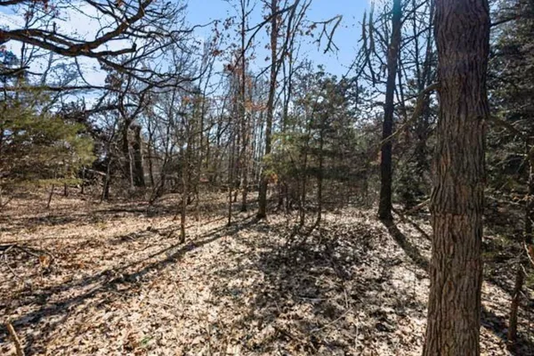 $25,000 | State Street, Albion, MI 49224