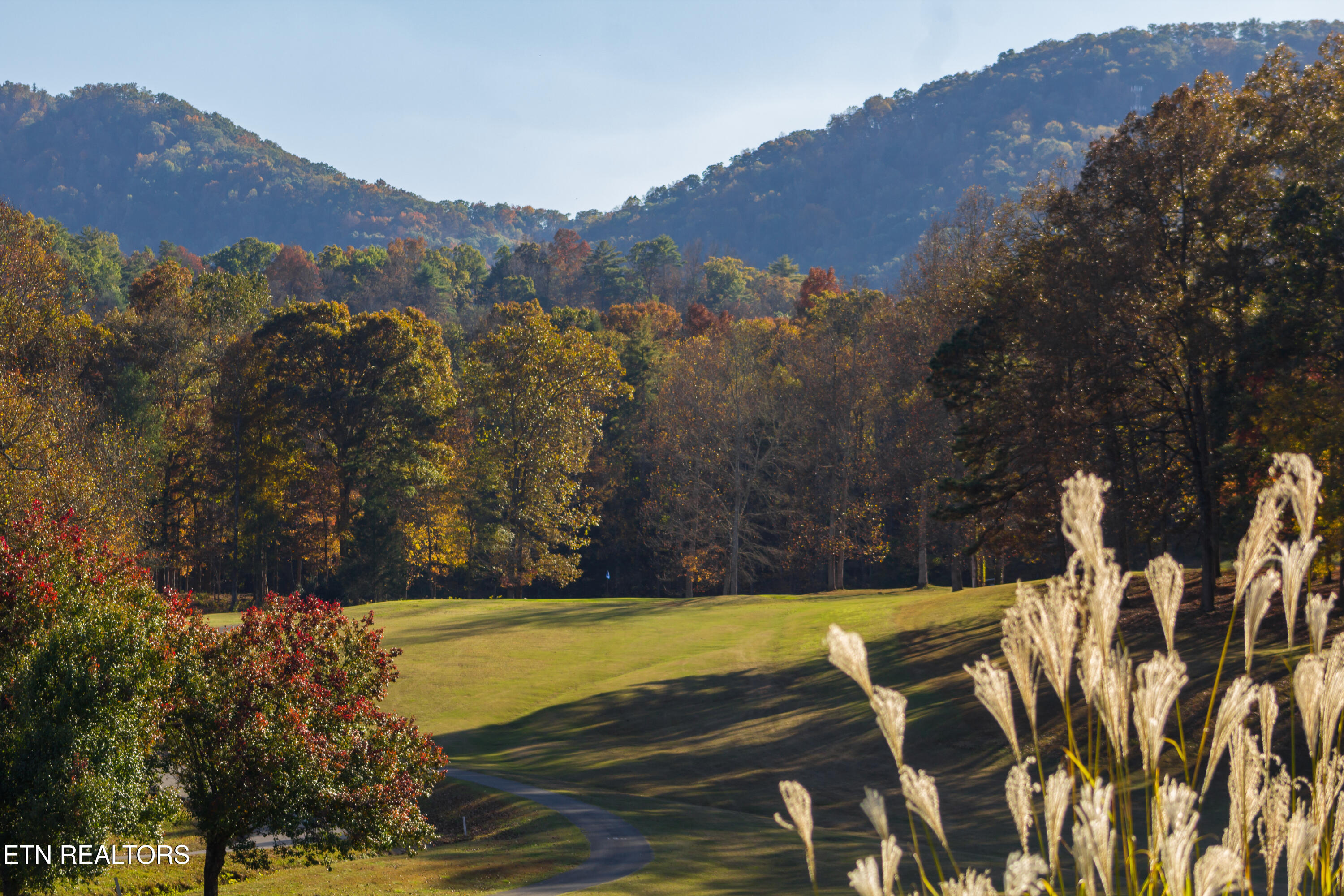 196 Cold Springs Trace Townsend, TN 37882 - Photo 57 of 58 IMG_2576