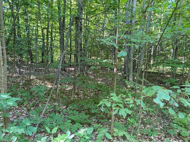 Seldon Road Petoskey, MI 49770 - Photo 5 of 21 Gallery Image 5